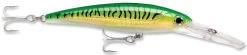 Rapala X-Rap Magnum 15 Big Game Slash Bait -Unique Fishing Store Gold Green Mackeral f51ab312 f2af 4c30 a4fc 987f1a81debc