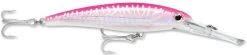 Rapala X-Rap Magnum 15 Big Game Slash Bait -Unique Fishing Store Hot Pink UV dcd027df 4fc6 46e7 ad9b d30b1d6099a2
