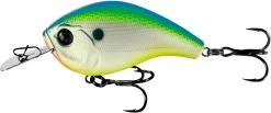 13 Fishing Jabber Jaw Hybrid Squarebill 23 13 Fishing Jabber Jaw Hybrid Squarebill -Unique Fishing Store JJC60 60