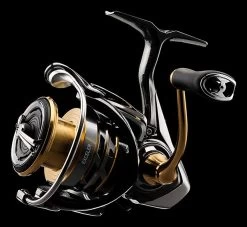 Daiwa Exceler LT Spinning Reel -Unique Fishing Store JTKar0HY