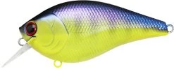 Lucky Craft LC 2.5 Shallow Squarebill Crankbait -Unique Fishing Store LC 2 5 136TOGL