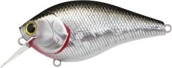Lucky Craft LC 2.5 Shallow Squarebill Crankbait -Unique Fishing Store LC 2 5 419BPGSN