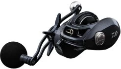 Daiwa Lexa 400 HD Baitcasting Reels -Unique Fishing Store LX HD300HS P side 900x e9ebe4d2 098d 4a8e 9a17 499849529472