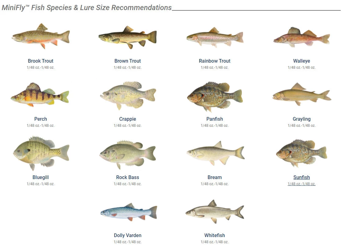 Panther Martin MiniFly 3-Pack Spinner Kit 4 Panther Martin MiniFly 3-Pack Spinner Kit - Image 2