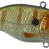 SPRO Aruku Shad Jr. Lipless Crankbait -Unique Fishing Store Perch 5107212c f555 45e9 b2d3 4528135e3026