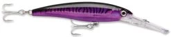 Rapala X-Rap Magnum 10 Big Game Slash Bait -Unique Fishing Store Purple Mackerel 13af5489 fdac 474f 8fb0 6672207856ee