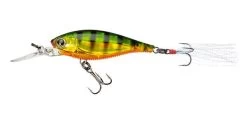 Yo-Zuri 3DB Shad Suspending 2 3/4 Inch Medium Diving Crankbait -Unique Fishing Store R1104 PPC f42bdff7 85b4 4bd5 85fb b2b0c42a9aa9