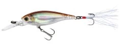Yo-Zuri 3DB Shad Suspending 2 3/4 Inch Medium Diving Crankbait -Unique Fishing Store R1104 RSM