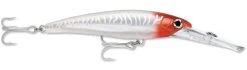 Rapala X-Rap Magnum 40 Big Game Slash Bait -Unique Fishing Store Red Head UV 5148fde5 f206 400c a586 c0aebc17870c