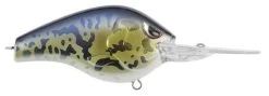SPRO Fat Papa 55 Medium Diving Crankbait 31 SPRO Fat Papa 55 Medium Diving Crankbait -Unique Fishing Store SBD55GBY Goby