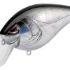 SPRO Hunter 65 SB Shallow Squarebill Crankbait -Unique Fishing Store SEHTRSB65BKS BlackSilver