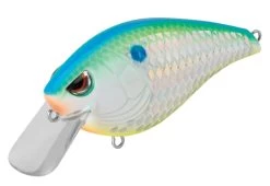 SPRO Hunter 65 SB Shallow Squarebill Crankbait -Unique Fishing Store SEHTRSB65CSD CitrusShad b04981bd 884e 4dd4 ac9c 6eed21094869