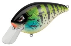 SPRO Hunter 65 SB Shallow Squarebill Crankbait -Unique Fishing Store SEHTRSB65PPS PumpkinSeed