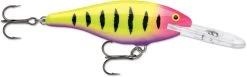Rapala Shad Rap 2 Inch Medium Diving Crankbait SR05 -Unique Fishing Store SR05HSP 6acd65b4 4f34 464c 95a8 878381f3b3d9