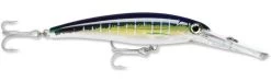 Rapala X-Rap Magnum 40 Big Game Slash Bait -Unique Fishing Store Sailfish UV 49f7a10f d6dd 4b31 86c5 efe898da306a