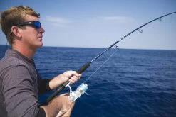 Temple Fork Outfitters Seahunter Spinning Rods -Unique Fishing Store Seahunter Bottom Banner 5 26e996a0 9821 4303 b33c d8740b2a8591