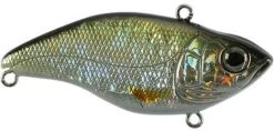 SPRO Aruku Shad Jr. Lipless Crankbait -Unique Fishing Store Wild Shiner 8103e372 3ba3 4bb4 bfe2 10f4f96473ff