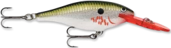 Rapala Shad Rap 2 3/4 Inch Medium Diving Crankbait SR07 -Unique Fishing Store bleeding 2Bolive 2Bflash fbfdec03 6a18 4e40 94ed cea596d27917