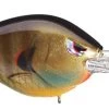 SPRO Fat Papa 55 Medium Diving Crankbait 1 SPRO Fat Papa 55 Medium Diving Crankbait -Unique Fishing Store bluegill