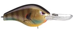 SPRO Fat Papa 55 Medium Diving Crankbait