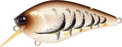 Lucky Craft LC 2.5 Shallow Squarebill Crankbait -Unique Fishing Store cameleon brown craw