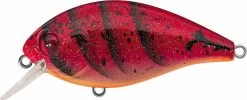 Evergreen International SH-3 Shallow Squarebill Crankbait -Unique Fishing Store evergreen SH 3 223 speed craw