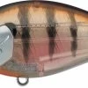 Evergreen International SH-3 Shallow Squarebill Crankbait -Unique Fishing Store evergreen SH 3 246 ghost baby gill