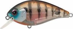 Evergreen International SH-3 Shallow Squarebill Crankbait