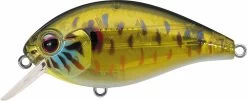 Evergreen International SH-3 Shallow Squarebill Crankbait -Unique Fishing Store evergreen SH 3 286 skeleton pumpkinseed