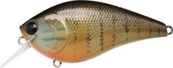 Lucky Craft LC 2.5 Shallow Squarebill Crankbait -Unique Fishing Store gold pumpkin seed