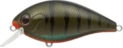 Evergreen International SH-3 Shallow Squarebill Crankbait -Unique Fishing Store green 2Bpumpkin 2Bgill