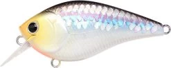 Lucky Craft LC 2.5 Shallow Squarebill Crankbait -Unique Fishing Store ms 2Bimpulse 2Bshad