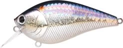 Lucky Craft LC 2.5 Shallow Squarebill Crankbait -Unique Fishing Store ms american shad