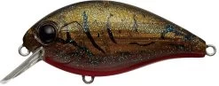 Evergreen International SH-3 Shallow Squarebill Crankbait -Unique Fishing Store olive 2Bcrawdad 23363e0d 36be 4924 8f26 7398934df3e2