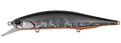 Duo Realis Jerkbait 110SP Suspending -Unique Fishing Store prism shad 8b7f7310 1bc7 4a23 8014 52988529c47b