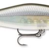 Rapala Shadow Rap Shad Deep 09 Jerkbait -Unique Fishing Store sdrsd09ghsh Ghost Shiner 52772480 e43d 4f6a 8453 9d72d714b76b