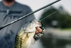 Temple Fork Outfitters Tactical Elite Bass Swimbait Casting Rods -Unique Fishing Store tfo tactical elite bass bottom banner lifestyle 5 1 73339f39 bce7 4dcd 992e bb5a21a97248