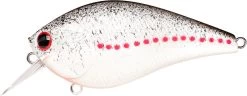 Lucky Craft LC 2.5 Shallow Squarebill Crankbait -Unique Fishing Store white 2Bshad